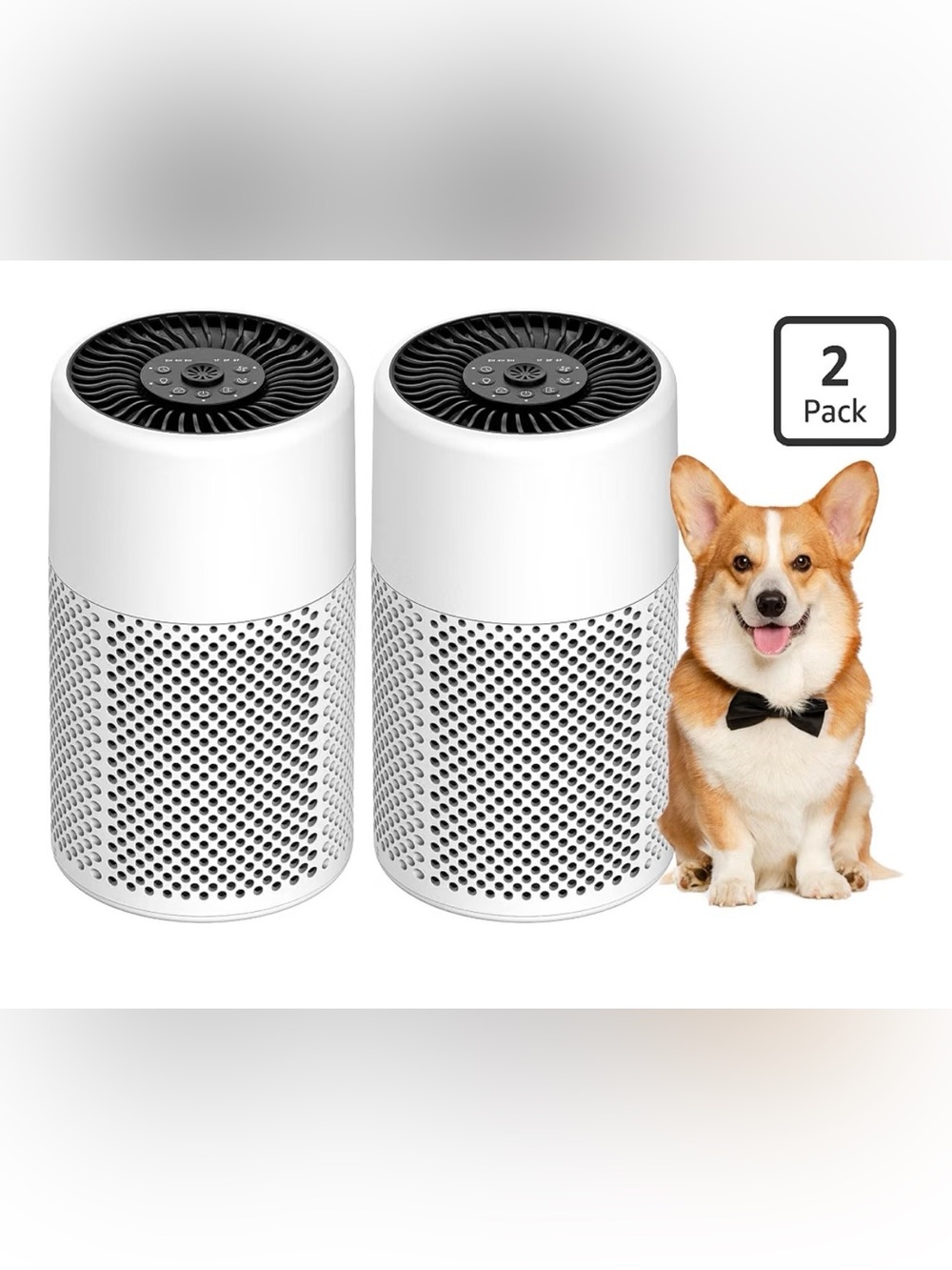 2 pack Air Purifier for bedroom dorm room true HEPA filter